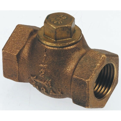 Spirax Sarco Bronze Single Check Valve, BSPP 3/4in, 14 bar