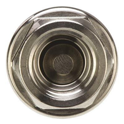 Legris Stainless Steel Single Non Return Valve, G 1/4in, 40 bar