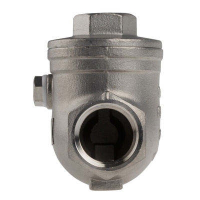 RS PRO Stainless Steel Single Check Valve, BSP 1/2in, 14 bar