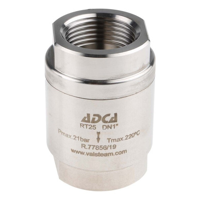 RS PRO Stainless Steel Single Non Return Valve, BSP 1in, 25 bar