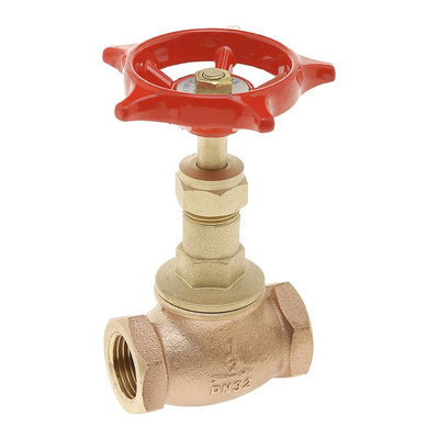 Valsteam ADCA Bronze Globe Valve 551261, 1-1/4 in BSP 32 bar