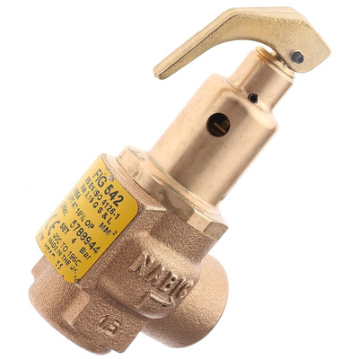 8888 4bar Pressure Relief Valve With Female BSP 1/2 in BSP Female Connection and a BSP 1/2 Exhaust Port