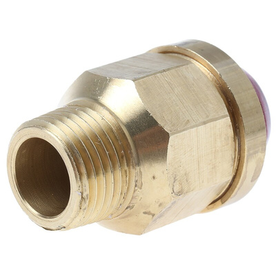 Reliance 16bar Anti-Vacuum Valve With Male BSP 1/2 in BSP Male Connection