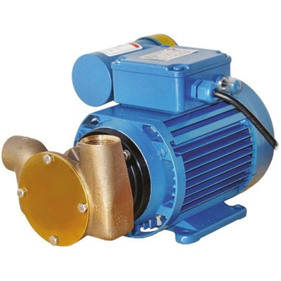 Xylem Jabsco Centrifugal Electric Operated Positive Displacement Pump, 18L/min, 1.7 bar, 230 V
