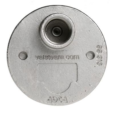 Valsteam ADCA Stainless Steel Air Vent 1/2 in