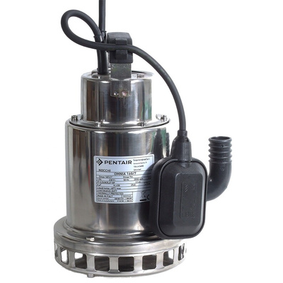 W Robinson And Sons 230 V Direct Coupling Submersible Submersible Water Pump, 160L/min