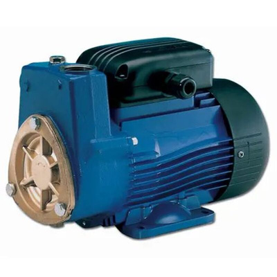 230 V 8 bar Peripheral Water Pump