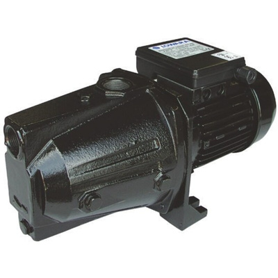 Xylem Lowara 240 V 6 bar Direct Coupling Water Pump, 0.65L/min