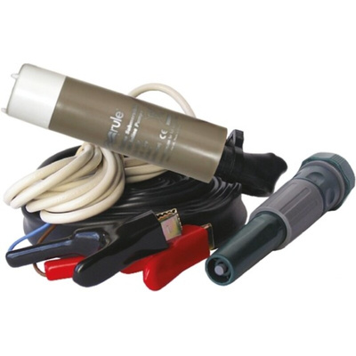 Xylem 12 V 14 psi Direct Coupling Submersible Submersible Water Pump, 1920L/h
