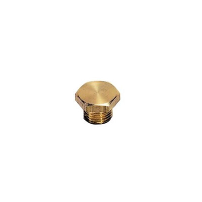 Legris G 1/8 Brass Tubing Plug