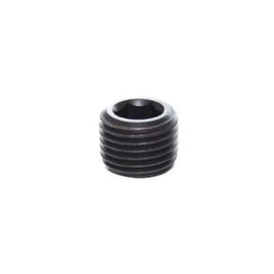 Legris NPT 1/16 Male Steel Tubing Plug