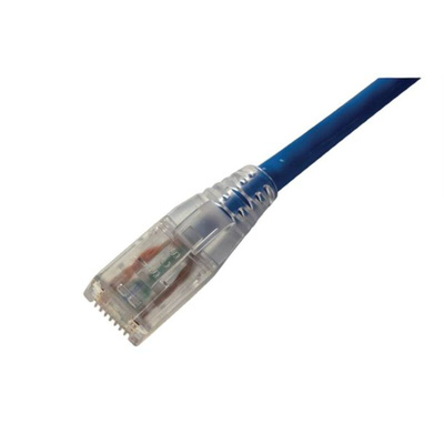 Amphenol Industrial Cat6 RJ45 to RJ45 Ethernet Cable, Unshielded, Blue, 1m