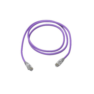 Amphenol Industrial Cat6 RJ45 to RJ45 Ethernet Cable, Unshielded, Purple, 40m