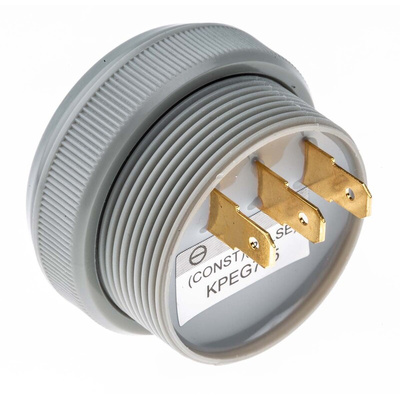 RS PRO 97dB Panel Mount Continuous, Fast Pulse Internal Piezo Buzzer, 31.5 x 19.5mm, 6V dc Min, 28V dc Max