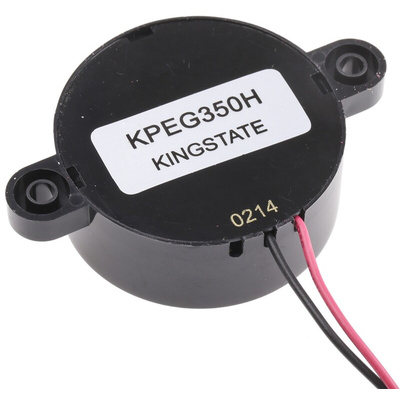 RS PRO 95dB Through Hole Continuous Internal Buzzer, 41.8 x 16mm, 8V dc Min, 18V dc Max